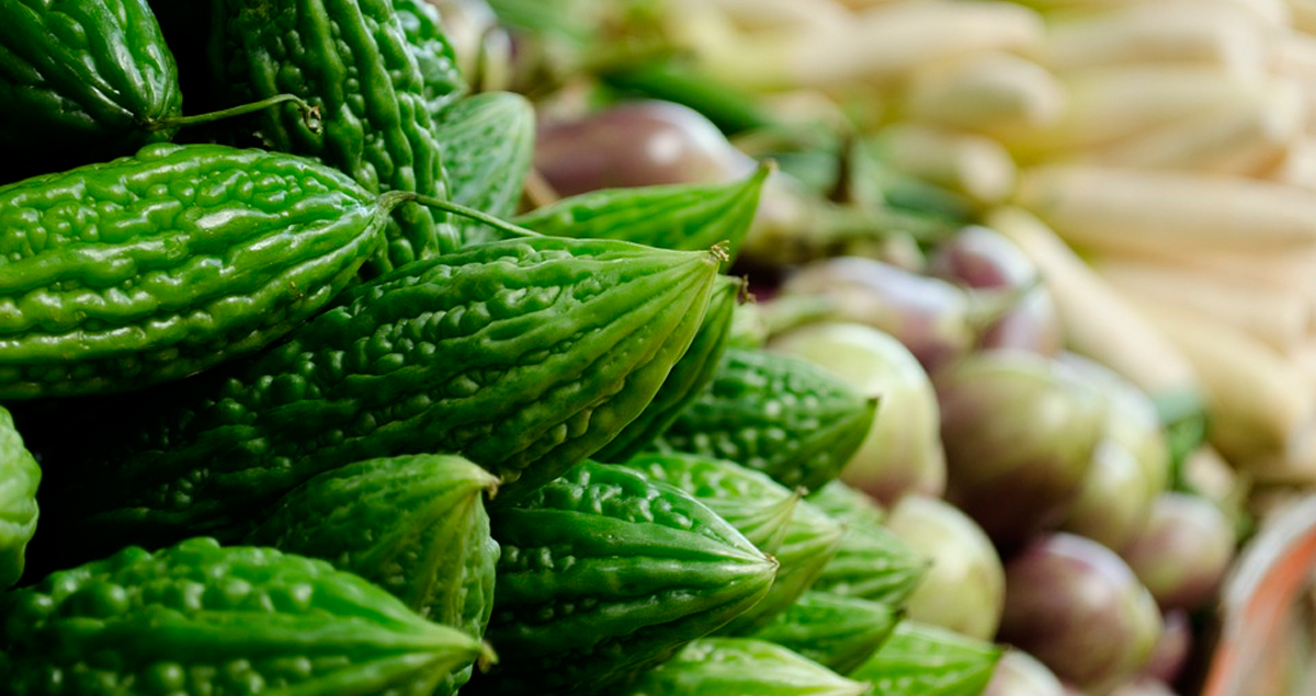 7 dulces beneficios del melón amargo Conocer Salud