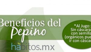 Beneficios del pepino