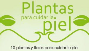 Plantas para cuidar la piel