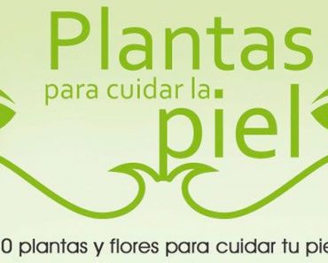 Plantas para cuidar la piel