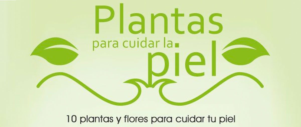 Plantas para cuidar la piel