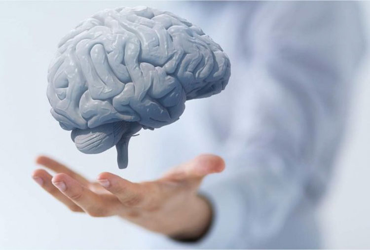Así es como tu cerebro cambia físicamente cuando consumes cúrcuma entera