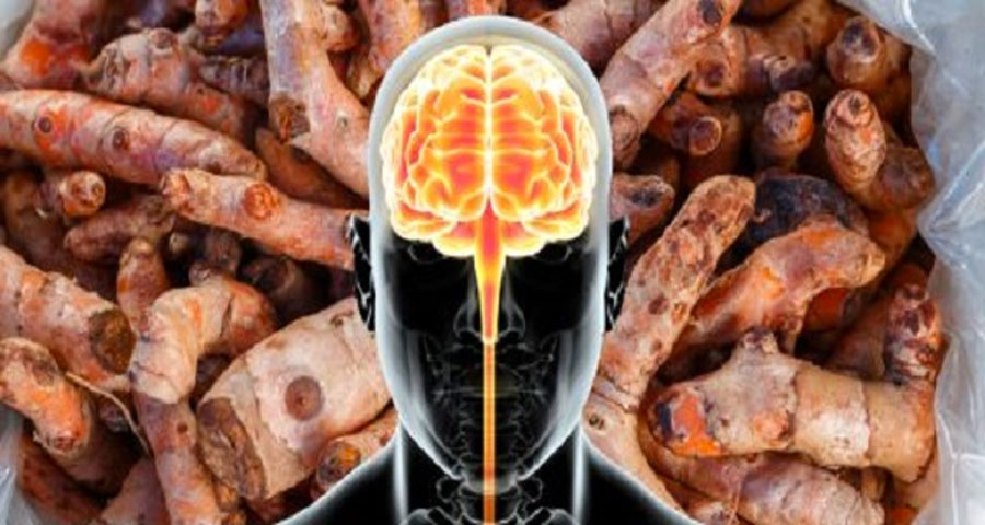 Así es como tu cerebro cambia físicamente cuando consumes cúrcuma entera