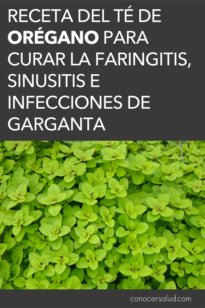 Receta del té de orégano para curar la faringitis, sinusitis e infecciones de garganta