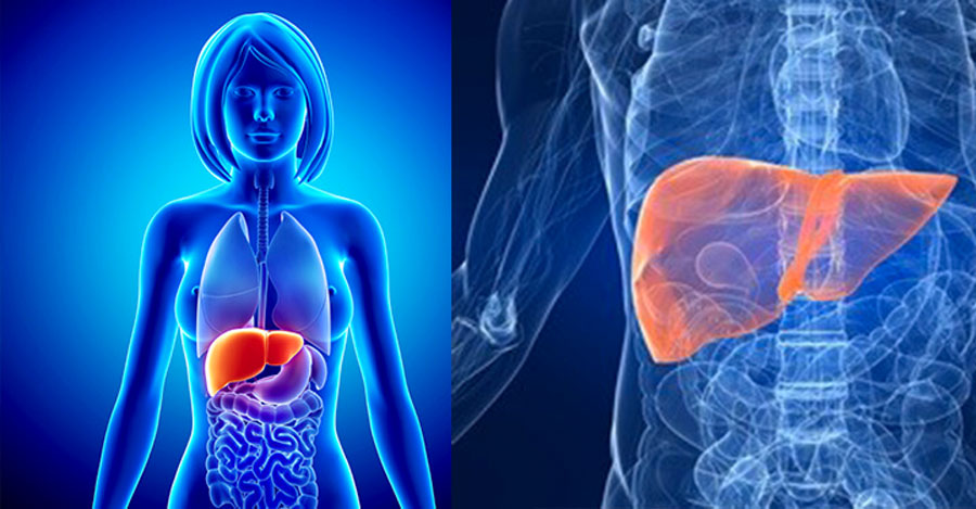 12 síntomas de que puedes tener el hígado dañado