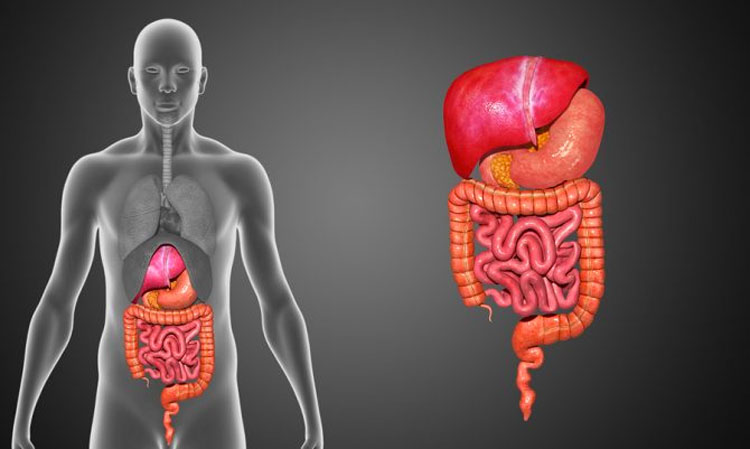 Este zumo limpiador de colon de 3 ingredientes puede ayudar a limpiar de desechos todo tu sistema