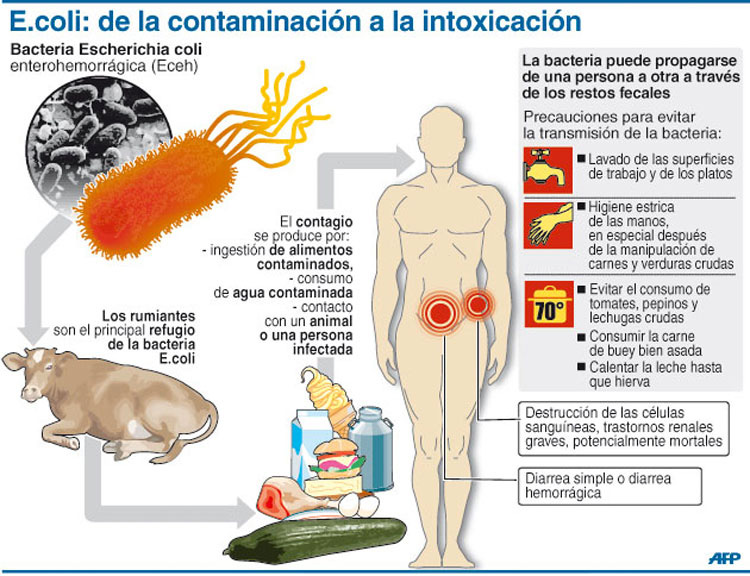 Si todavía estás con los zapatos en casa, quizás lo consideres después de leer esto