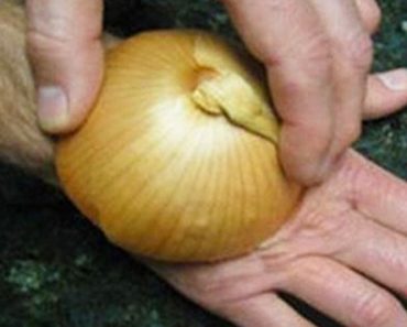 Se frotó cebolla cruda en la mano por una brillante razón. ¡No tenía idea de que esto realmente funciona!