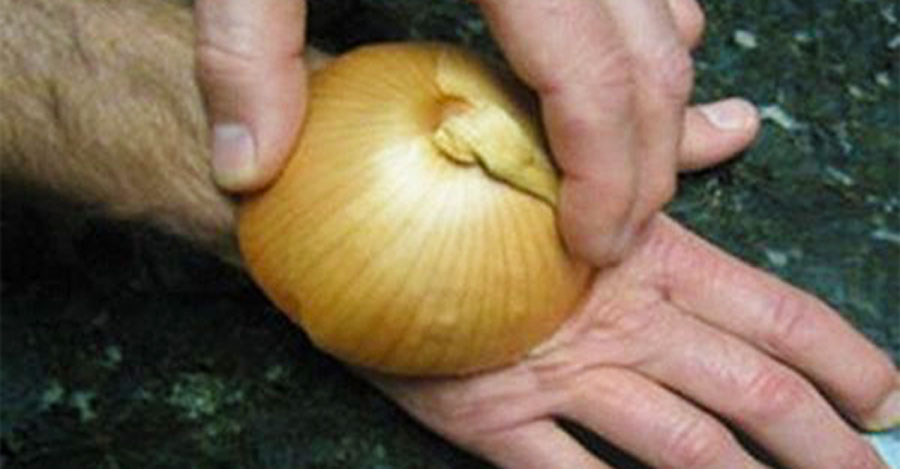 Se frotó cebolla cruda en la mano por una brillante razón. ¡No tenía idea de que esto realmente funciona!