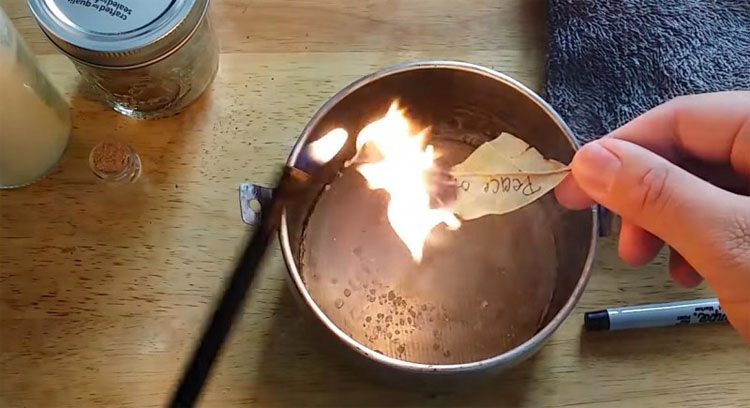 Quema unas hojas de laurel en casa y mira lo que sucede en sólo 10 minutos