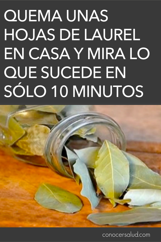 Quema unas hojas de laurel en casa y mira lo que sucede en sólo 10 minutos