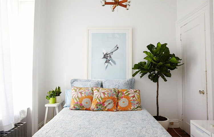 Pon plantas en tu dormitorio, pero no por decoración. ¡La razón es verdaderamente genial!