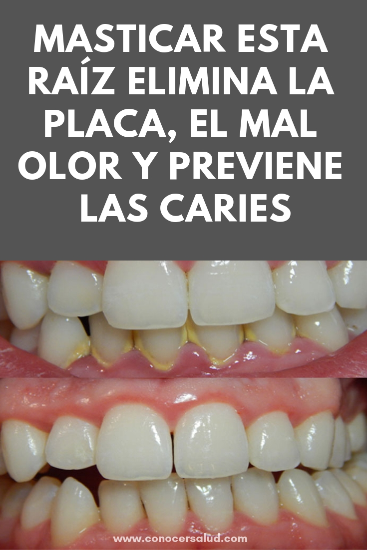 Masticar esta raíz elimina la placa, el mal olor y previene las caries