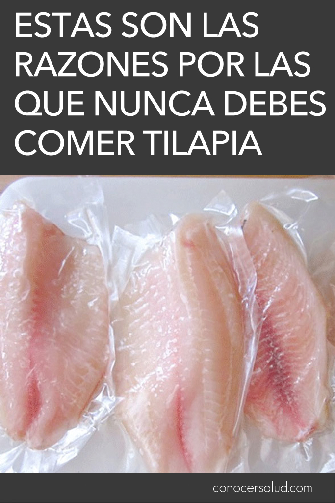 Estas son las razones por las que NUNCA debes comer Tilapia