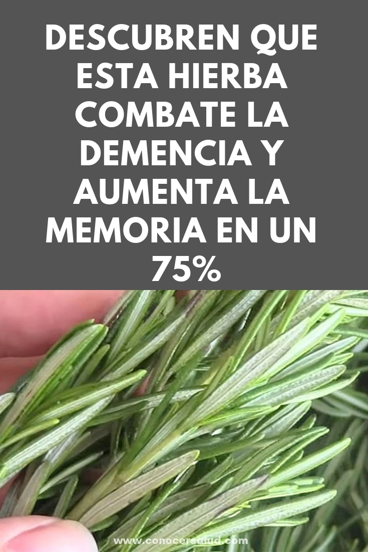 Científicos descubren que esta hierba combate la demencia y aumenta la memoria en un 75%