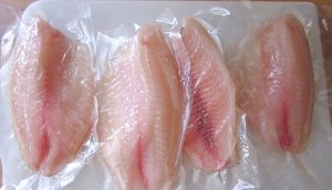 Estas son las razones por las que NUNCA debes comer Tilapia