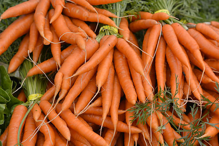 Estas son las 10 verduras y vegetales más saludables que puedes comer