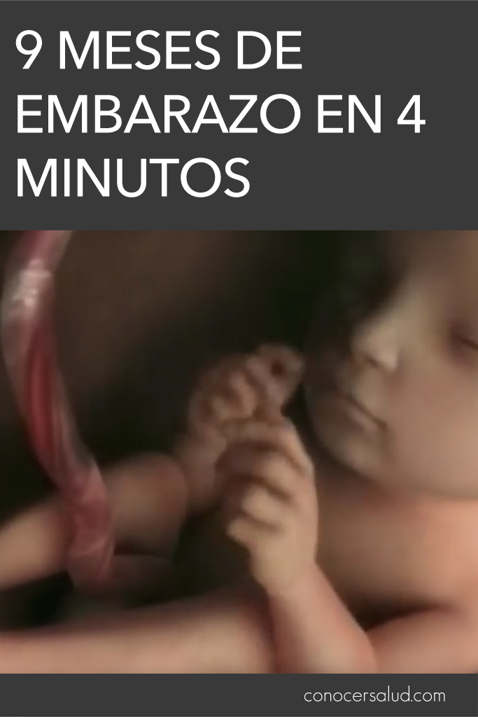 9 meses de embarazo en 4 minutos