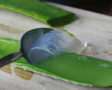 18 usos increíbles del Aloe Vera que no conocías. ¡No comprarás productos caros de nuevo!