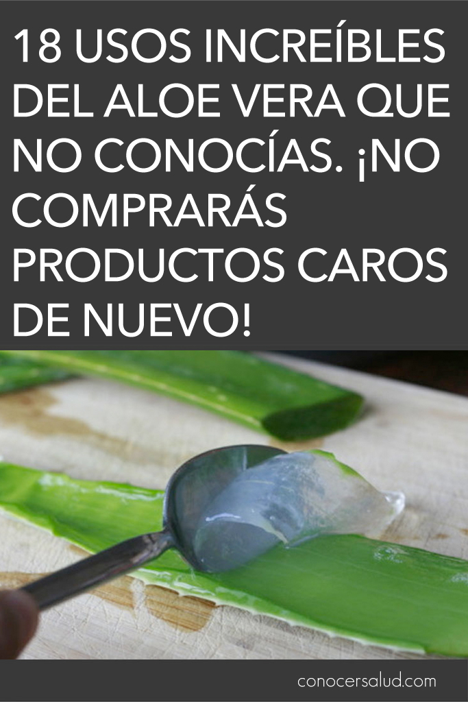 18 usos increíbles del Aloe Vera que no conocías. ¡No comprarás productos caros de nuevo!