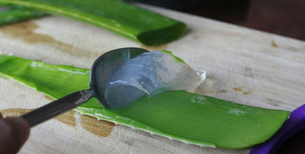 18 usos increíbles del Aloe Vera que no conocías. ¡No comprarás productos caros de nuevo!