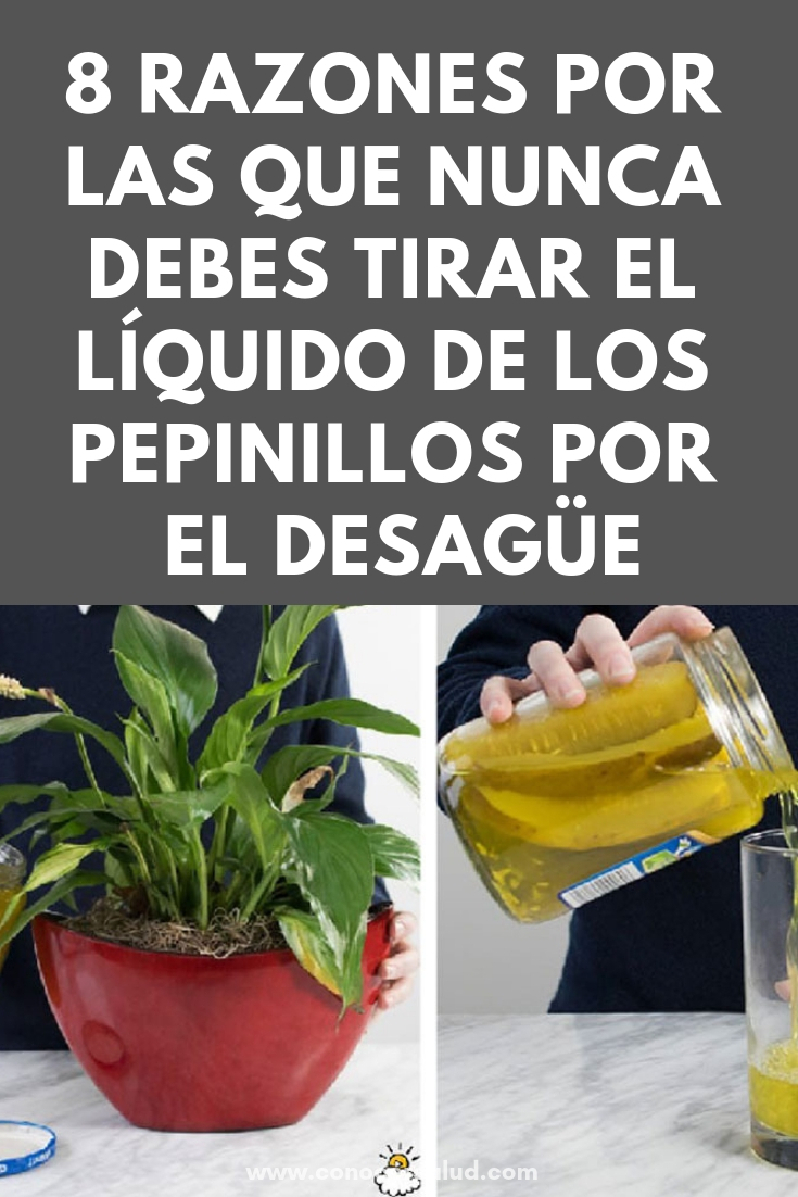 8 razones por las que nunca debes tirar el líquido de los pepinillos por el desagüe