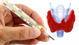 Compruebe su tiroides: Todo lo que necesita es un termómetro