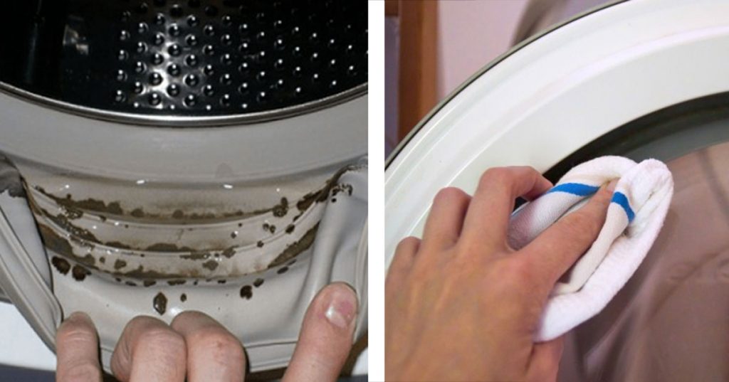 ¡Nadie sabe que el moho tóxico se está escondiendo en su lavadora! Así se puede deshacer de él