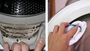¡Nadie sabe que el moho tóxico se está escondiendo en su lavadora! Así se puede deshacer de él