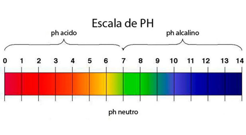 El cáncer te hace tener un pH demasiado ácido. Aquí está la manera de comprobar su equilibrio de pH