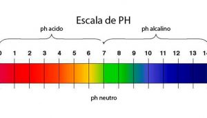 El cáncer te hace tener un pH demasiado ácido. Aquí está la manera de comprobar su equilibrio de pH