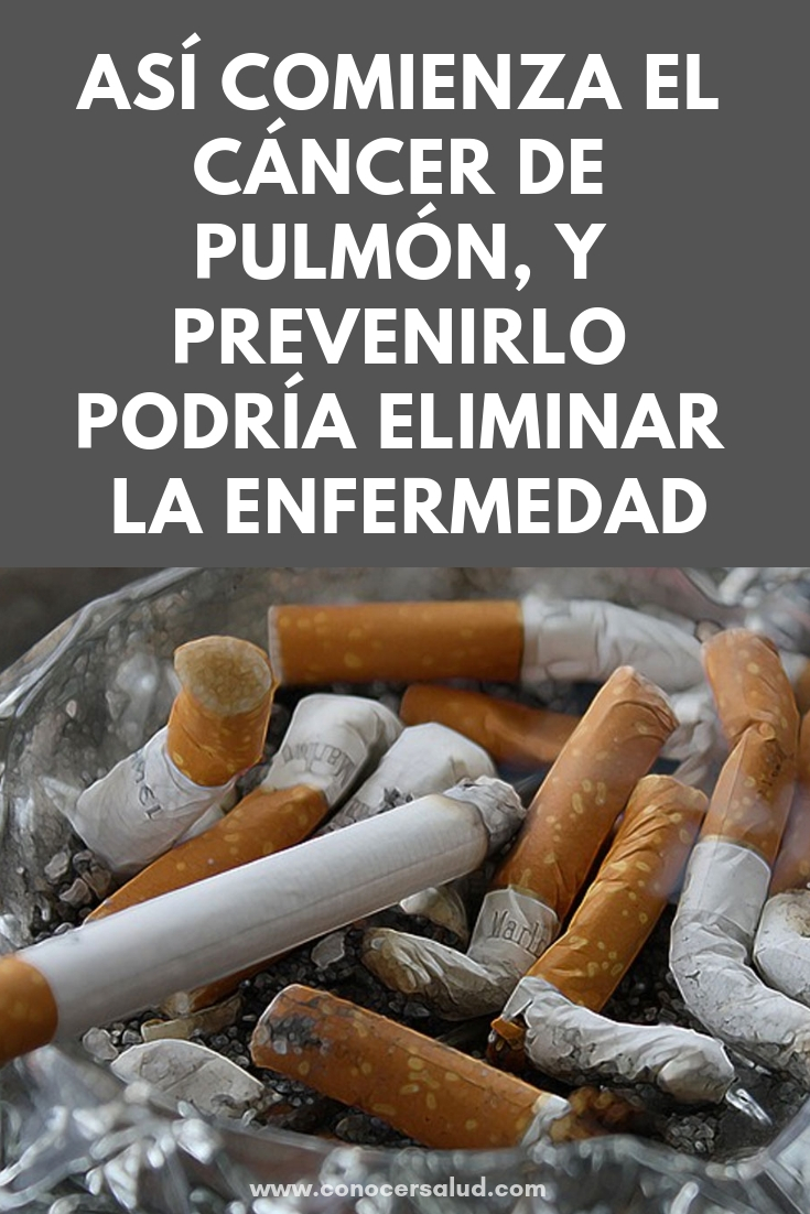 Así comienza el cáncer de pulmón, y prevenirlo podría eliminar la enfermedad