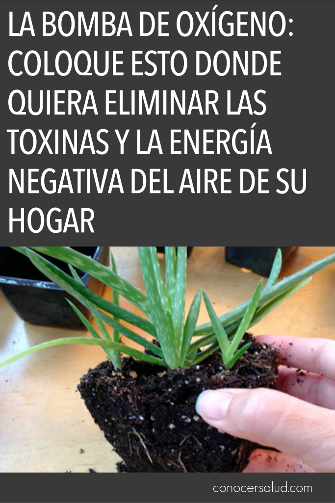 La Bomba de Oxígeno: coloque esto donde quiera eliminar las toxinas y la energía negativa del aire de su hogar