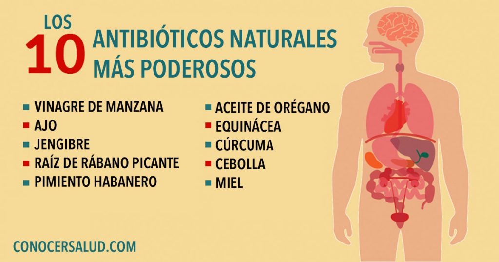 Los 10 antibióticos naturales más poderosos conocidos por la humanidad