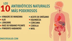 Los 10 antibióticos naturales más poderosos conocidos por la humanidad