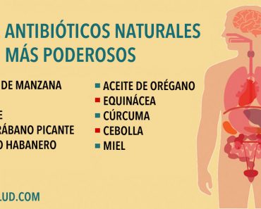 Los 10 antibióticos naturales más poderosos conocidos por la humanidad