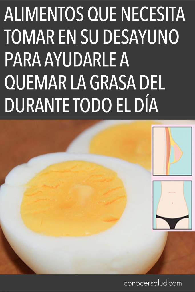 Alimentos que necesita tomar en su desayuno para ayudarle a quemar la grasa del vientre durante todo el día