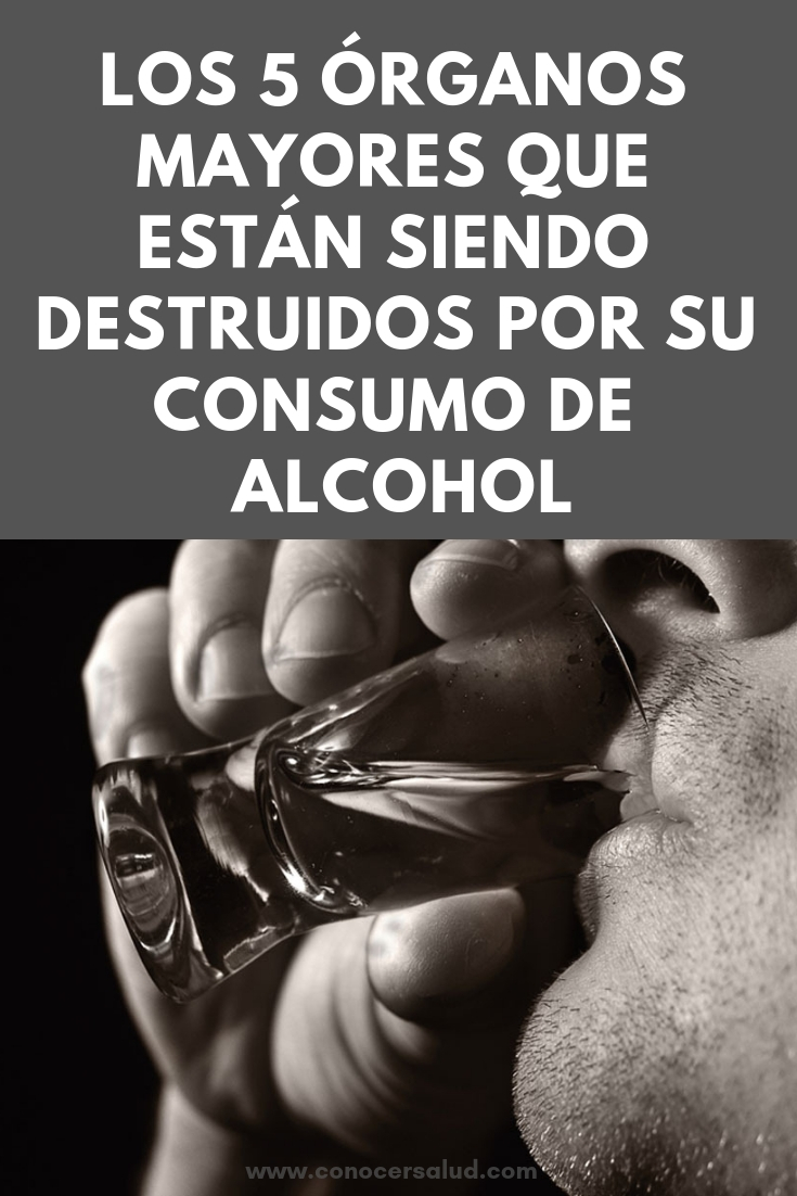 Los 5 órganos mayores que están siendo destruidos por su consumo de alcohol