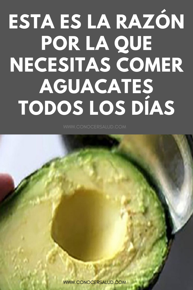 Esta es la razón por la que necesitas comer aguacates todos los días