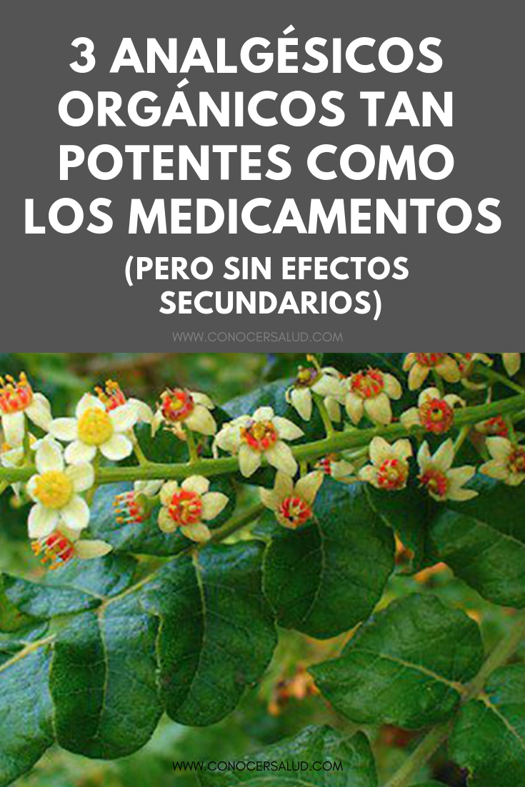 3 analgésicos orgánicos tan potentes como los medicamentos, pero SIN efectos secundarios