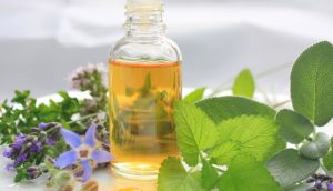 Aceite de orégano - Probablemente el mejor aceite de la medicina alternativa