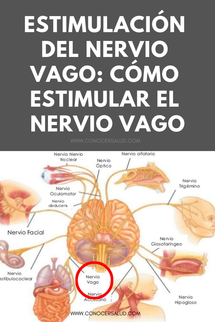 Estimulación del nervio vago: Cómo estimular el nervio vago