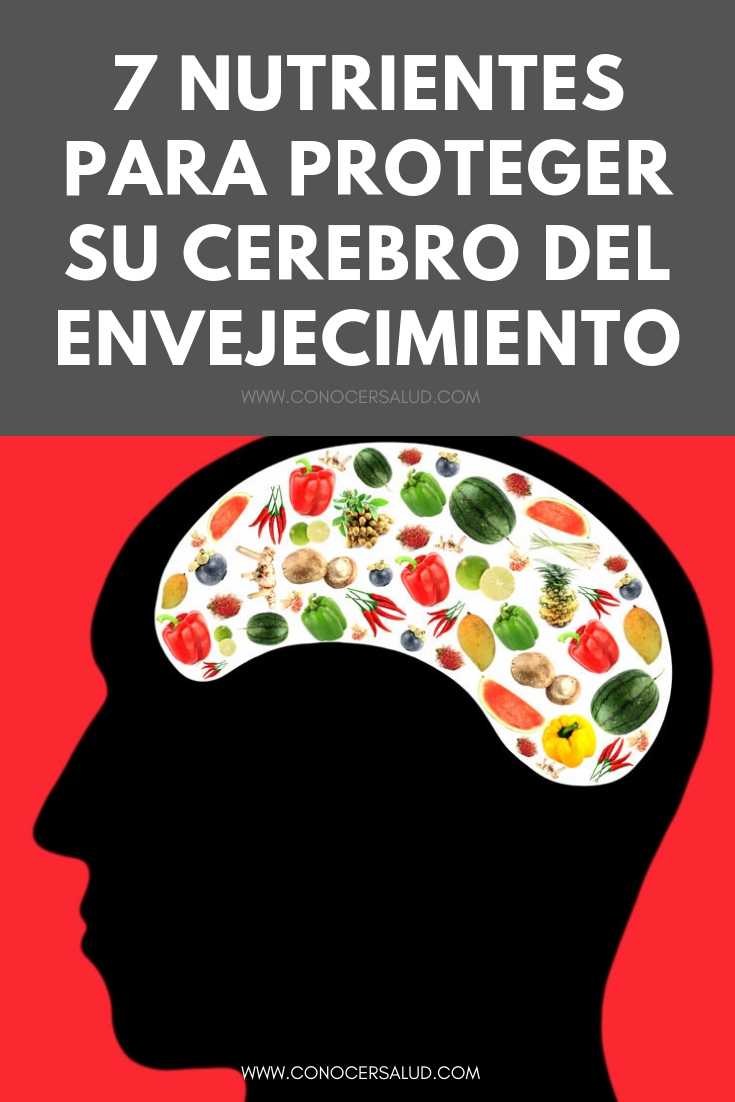 7 nutrientes para proteger su cerebro del envejecimiento