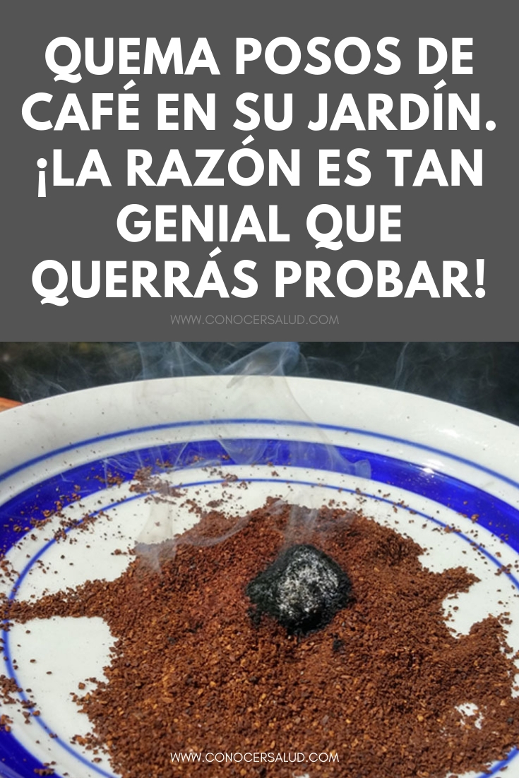 Quema posos de café en su jardín. ¡La razón es tan genial que querrás probar!