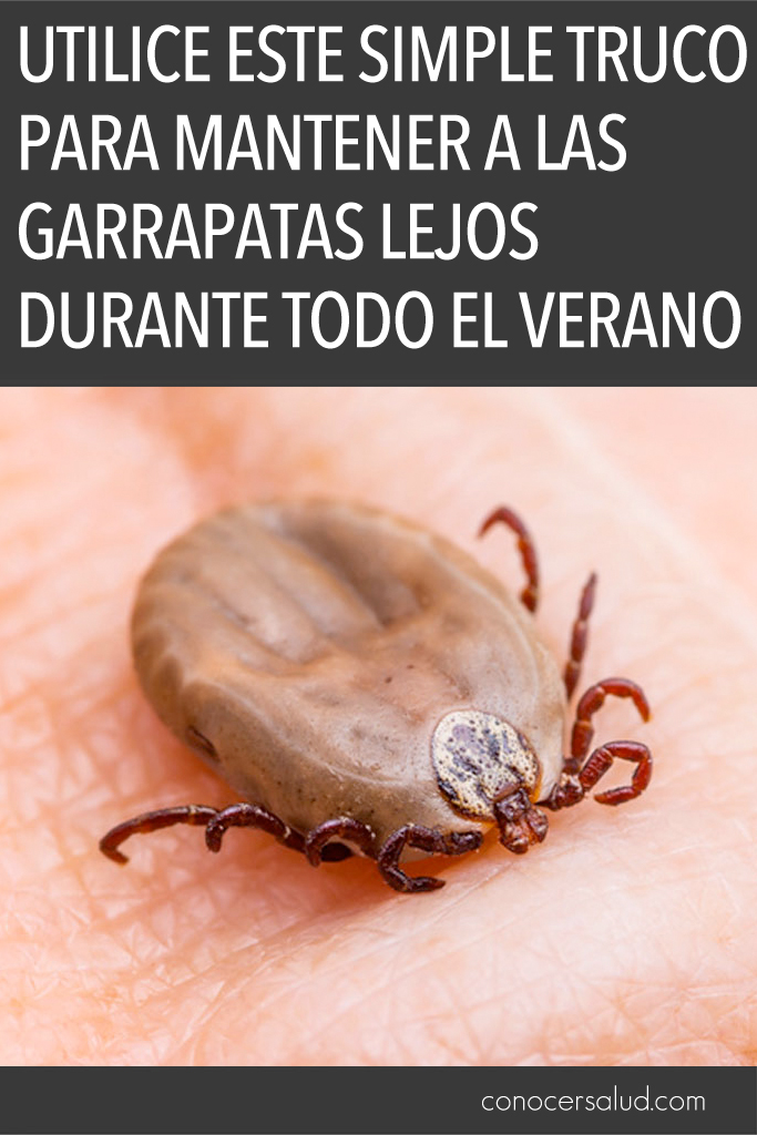 Utilice ESTE simple truco para mantener a las garrapatas lejos durante todo el verano