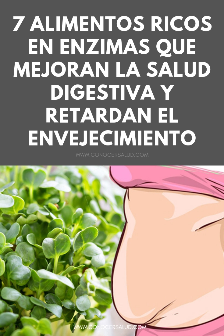 7 alimentos ricos en enzimas que mejoran la salud digestiva y retardan el envejecimiento