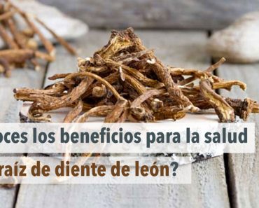 ¿Conoces los beneficios para la salud de la raíz de diente de león?