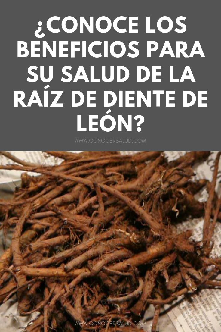 ¿Conoce los beneficios para su salud de la raíz de diente de león?