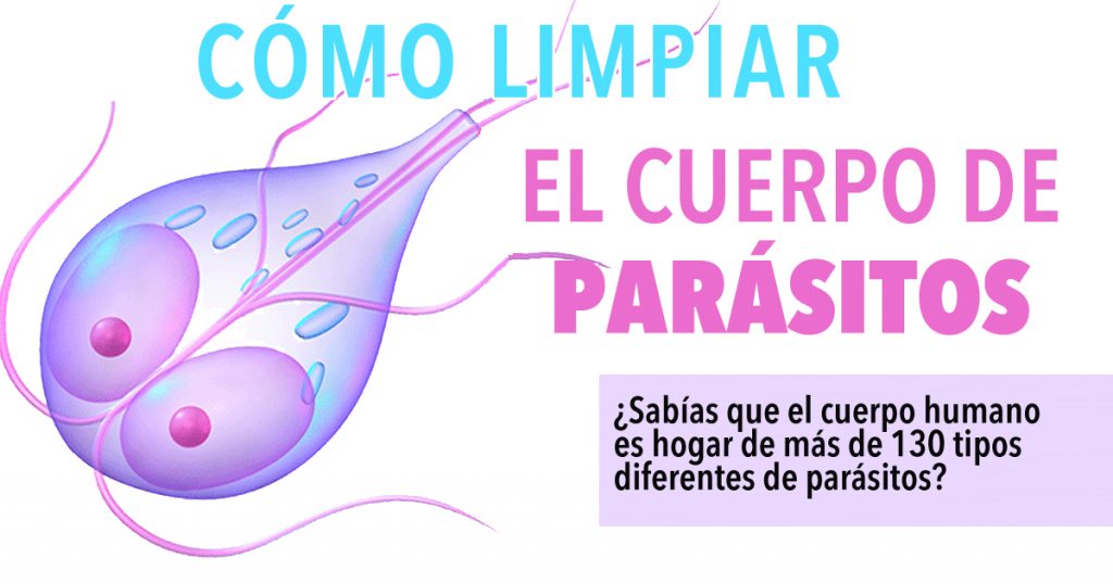 Cómo limpiar el cuerpo de parásitos: ¿sabe que puede tener hasta 130 tipos diferentes de parásitos?