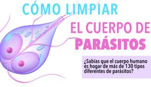 Cómo limpiar el cuerpo de parásitos: ¿sabe que puede tener hasta 130 tipos diferentes de parásitos?